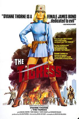 南宁集约化网站优化公司